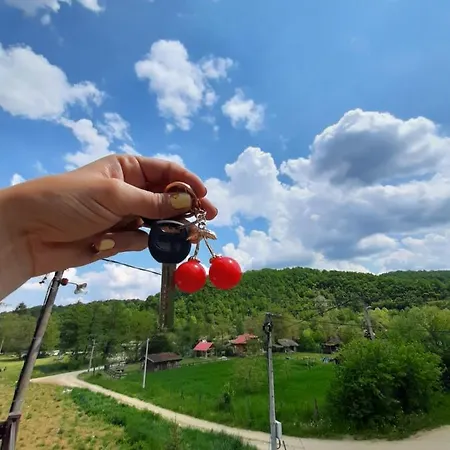 Cherry Ii Gradac Apartman Valjevo