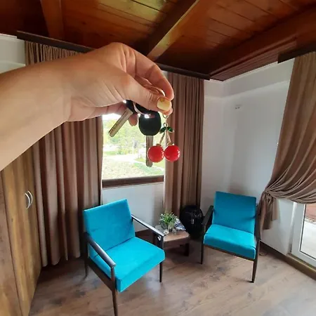 Apartment Cherry Ii Gradac
