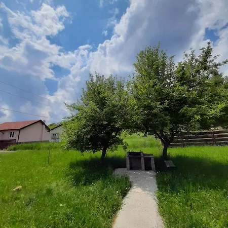 Cherry Ii Gradac * Valjevo