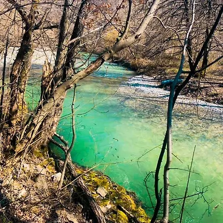 아파트 Cherry Ii Gradac