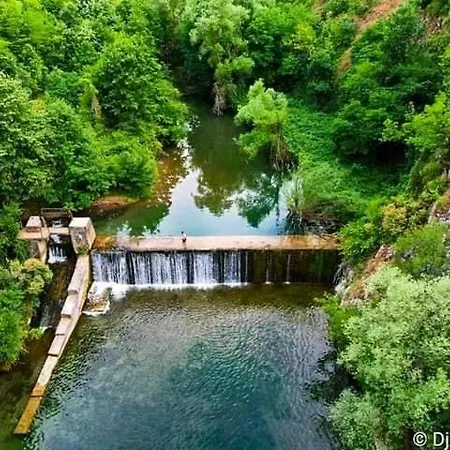 Cherry Ii Gradac * Valjevo