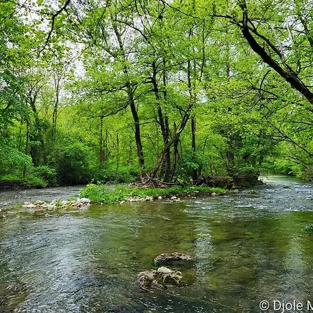 Cherry Ii Gradac * 발제보