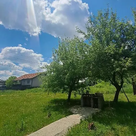 Apartment Cherry Ii Gradac *