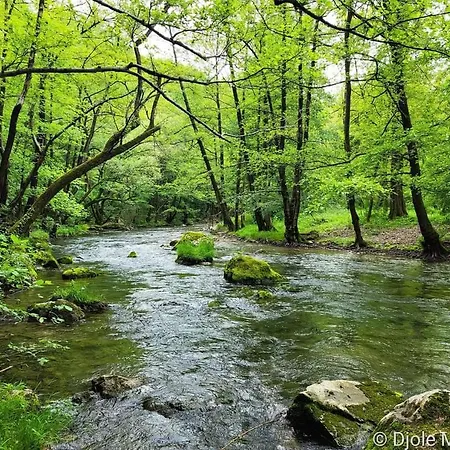 Cherry Ii Gradac Valjevo