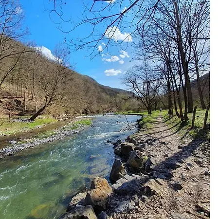 Cherry Ii Gradac * 발제보