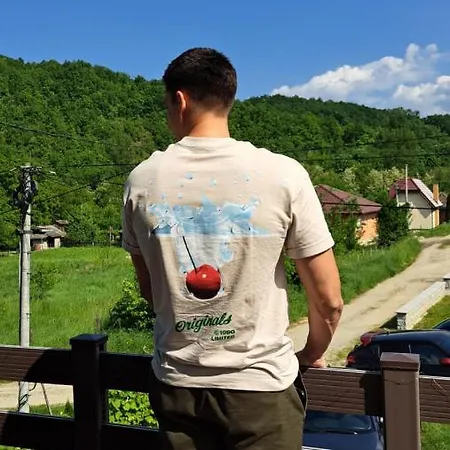 Apartment Cherry Ii Gradac Valjevo
