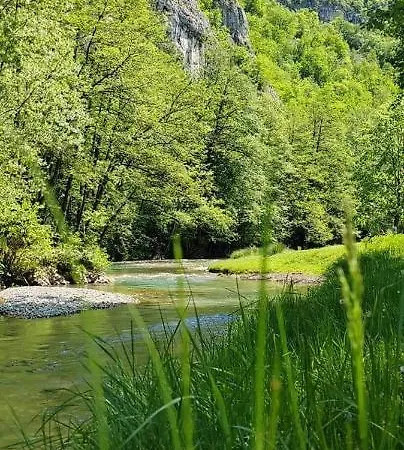 Cherry Ii Gradac Valjevo