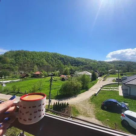 Cherry Ii Gradac 발제보