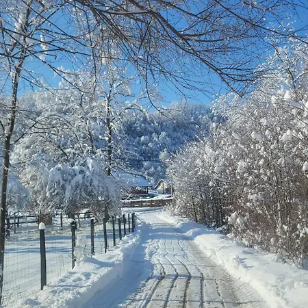 Cherry Ii Gradac Daire