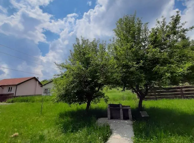 Cherry Ii Gradac * Valjevo