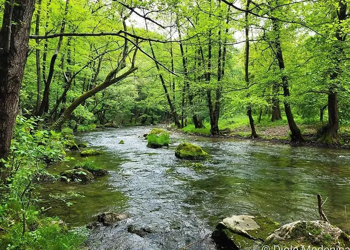 Cherry Ii Gradac Valjevo