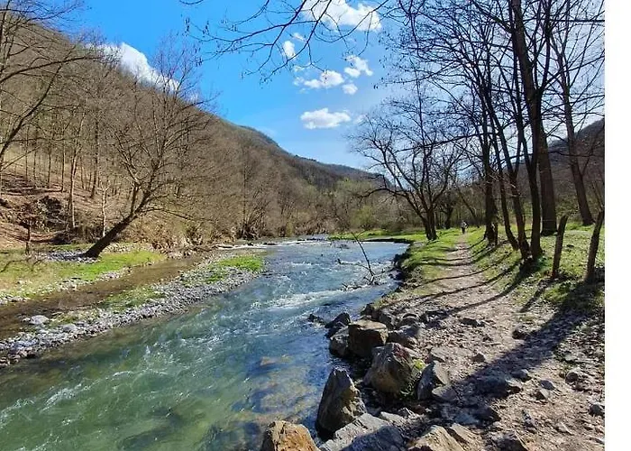 Cherry Ii Gradac * Valjevo