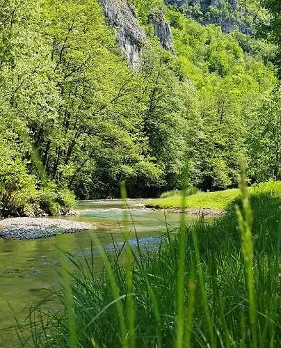 Cherry Ii Gradac Valjevo