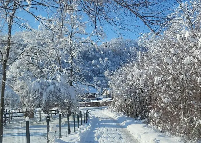 Cherry Ii Gradac Daire